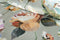 Vantona Boutique Naomi Duvet Cover Set - Multi