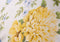 Vantona Archive Collection Edwina Duvet Cover Set - Lemon